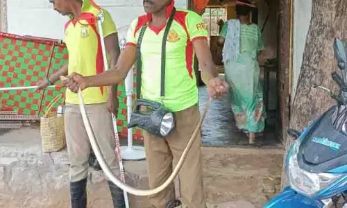 வீட்டிற்குள் புகுந்த விஷப்பாம்பு பிடிபட்டது வீட்டிற்குள் புகுந்த விஷப்பாம்பு பிடிபட்டது