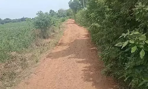 சாலை சீரமைக்கப்படுமா?