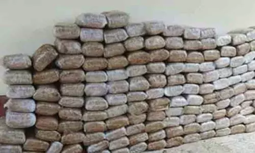 தனுஷ்கோடி கடல் வழியாக இலங்கைக்கு கடத்திய 540 கிலோ கஞ்சா சிக்கியது