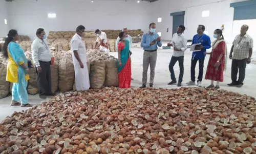 கொப்பரை கொள்முதல் மையத்தில்  கலெக்டர் சமீரன் திடீர் ஆய்வு