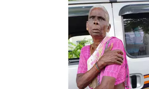 தம்மம்பட்டியில் குரங்குகள் அட்டகாசம்  காய்கறி விற்ற மூதாட்டியை கடித்தது