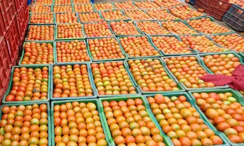 கிணத்துக்கடவு காய்கறி சந்தையில் தக்காளி விலை குறைந்தது- கிலோ ரூ.29-க்கு ஏலம்