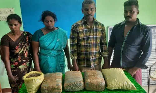 8½ கிலோ கஞ்சா கடத்திய தம்பதி உள்பட 4 பேர் கைது 8½ கிலோ கஞ்சா கடத்திய தம்பதி உள்பட 4 பேர் கைது