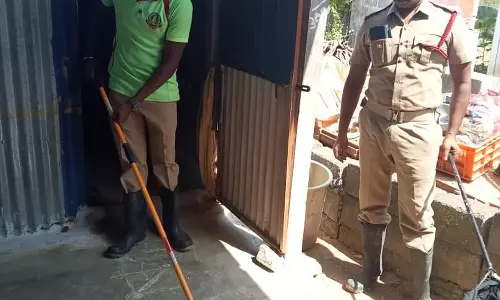 வெப்படையில்  வீட்டுக்குள் புகுந்த பாம்பு பிடிபட்டது