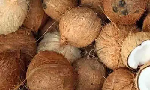 வேளாண் பொருட்கள் ரூ.33½ லட்சத்துக்கு ஏலம்