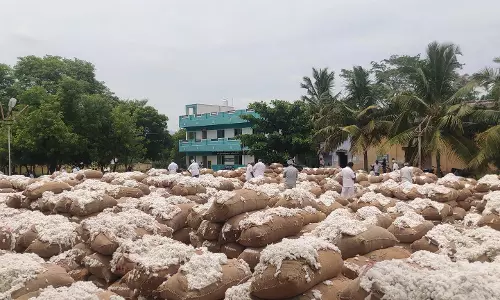 ராசிபுரத்தில் ரூ.65 லட்சத்திற்கு பருத்தி ஏலம் ராசிபுரத்தில் ரூ.65 லட்சத்திற்கு பருத்தி ஏலம்
