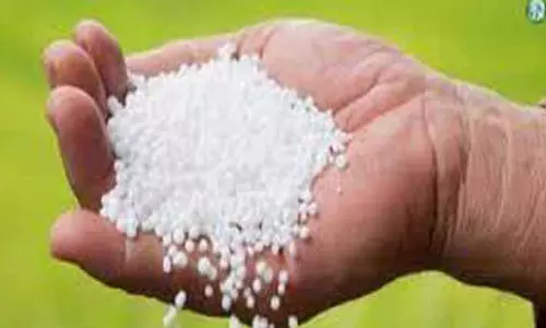 குஜராத் மாநிலத்தில் இருந்து ரெயில் மூலம் 2,296 டன் யூரியா உரம் ஈரோட்டுக்கு வந்தது