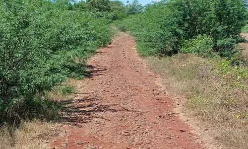 விழல்கோட்டகம் தேவங்குடி இணைப்பு சாலை சீரமைக்கப்படுமா?