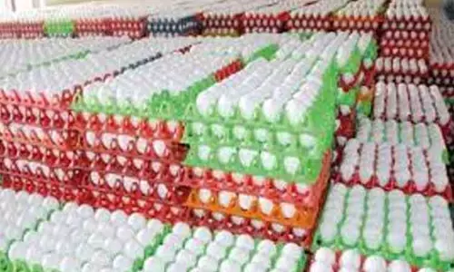 நாமக்கலில் புதிய உச்சத்தில் முட்டை விலை..!