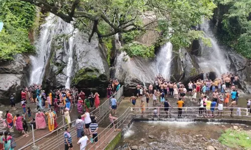 குற்றாலம் ஐந்தருவியில் தண்ணீர் வரத்து அதிகரிப்பு - சுற்றுலா பயணிகள் உற்சாக குளியல்...! குற்றாலம் ஐந்தருவியில் தண்ணீர் வரத்து அதிகரிப்பு - சுற்றுலா பயணிகள் உற்சாக குளியல்...!