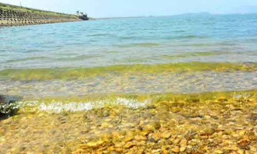 மழை இல்லாததால் 54 அடியாக குறைந்த வைகை அணை நீர்மட்டம் மழை இல்லாததால் 54 அடியாக குறைந்த வைகை அணை நீர்மட்டம்