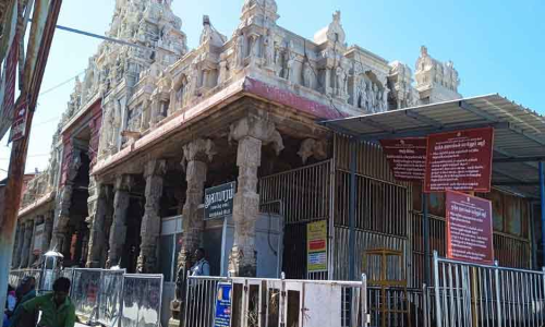 திருச்செந்தூர் கோவிலில் முதியவர்களுக்கு தனிப்பாதையில் இலவச தரிசனம்; விரைவில் தொடங்க ஏற்பாடு திருச்செந்தூர் கோவிலில் முதியவர்களுக்கு தனிப்பாதையில் இலவச தரிசனம்; விரைவில் தொடங்க ஏற்பாடு