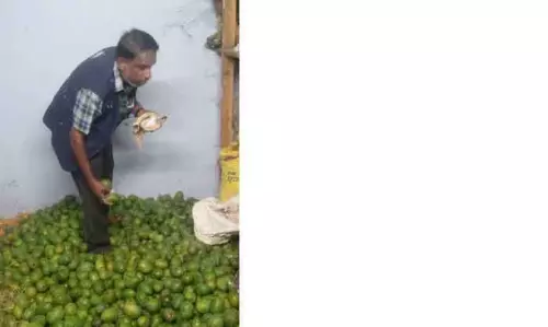 எடப்பாடி அருகே ரசாயன முறையில் பழுக்க வைத்த 250 கிலோ மாம்பழங்கள் பறிமுதல் எடப்பாடி அருகே ரசாயன முறையில் பழுக்க வைத்த 250 கிலோ மாம்பழங்கள் பறிமுதல்