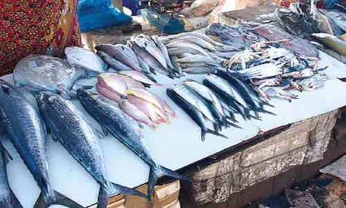 காசிமேடு மீன் சந்தையில் குறைந்துள்ள மீன்கள் விலை