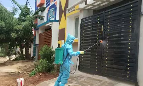 தொற்று பாதித்த பகுதிகளில் கிருமிநாசினி தெளிக்கும் பணி தீவிரம்