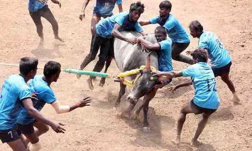 வடமாடு மஞ்சுவிரட்டு