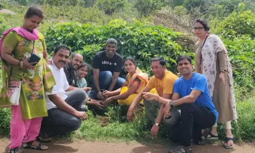 முன்னாள் மாணவர்கள் சார்பில் மரக்கன்றுகள் நடும் விழா