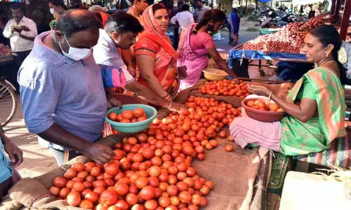 ஈரோடு மார்க்கெட்டில் தக்காளி விலை வீழ்ச்சி; கிலோ ரூ.25-க்கு விற்பனை ஈரோடு மார்க்கெட்டில் தக்காளி விலை வீழ்ச்சி; கிலோ ரூ.25-க்கு விற்பனை