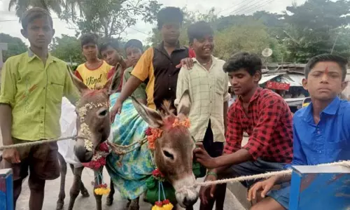 கழுதைகளுக்கு திருமணம் செய்து வைத்த சிறிது நேரத்தில் மழை - கிராம மக்கள் மகிழ்ச்சி கழுதைகளுக்கு திருமணம் செய்து வைத்த சிறிது நேரத்தில் மழை - கிராம மக்கள் மகிழ்ச்சி