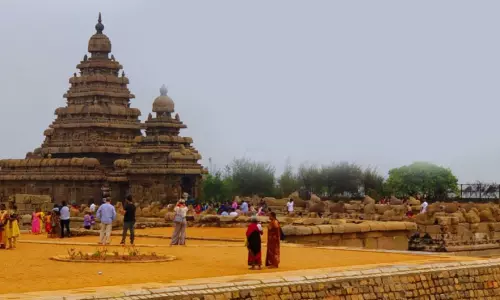 மாமல்லபுரம் கடற்கரை கோவில் வளாகத்தில் பிளாஸ்டிக் மாற்றாக தயாரிக்கப்பட்ட பொருட்கள் கண்காட்சி மாமல்லபுரம் கடற்கரை கோவில் வளாகத்தில் பிளாஸ்டிக் மாற்றாக தயாரிக்கப்பட்ட பொருட்கள் கண்காட்சி