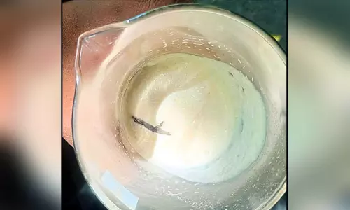 ஸ்ரீரங்கத்தில் பழஜூஸ்சில் பல்லி கிடந்ததால் பரபரப்பு..!