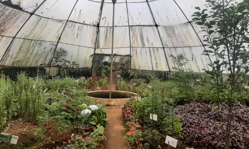 பராமரிப்பின்றி கிடக்கும் வண்ணத்துப்பூச்சி பூங்கா