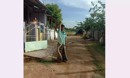வீட்டுக்குள் புகுந்த பாம்பு பிடிபட்டது