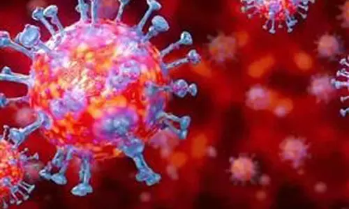 மேலும் 8 பேருக்கு கொரோனா