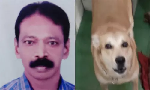 மாரடைப்பால் உயிரிழந்த உரிமையாளரின் உடல் அருகே நாள் முழுவதும் நின்ற செல்லப்பிராணி நாயின் பாசம்...! மாரடைப்பால் உயிரிழந்த உரிமையாளரின் உடல் அருகே நாள் முழுவதும் நின்ற செல்லப்பிராணி நாயின் பாசம்...!