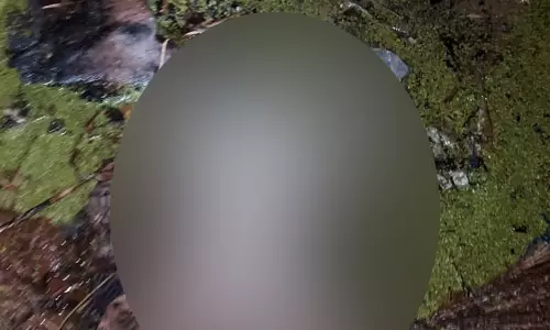 புதுச்சேரியில் பரபரப்பு: பச்சிளம் பெண் குழந்தை கழிவுநீர் வாய்க்காலில் வீச்சு...!