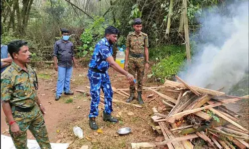 வனவிலங்குகளின் உடற்பாகங்கள் தீ வைத்து எரிப்பு வனவிலங்குகளின் உடற்பாகங்கள் தீ வைத்து எரிப்பு