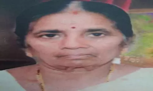 கொள்ளையனால் தாக்கப்பட்ட மூதாட்டி பலி