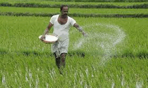 நிர்ணயித்த விலையை விட கூடுதல் விலைக்கு உரம் விற்றால் நடவடிக்கை - வேளாண்மை உதவி இயக்குனர் எச்சரிக்கை நிர்ணயித்த விலையை விட கூடுதல் விலைக்கு உரம் விற்றால் நடவடிக்கை - வேளாண்மை உதவி இயக்குனர் எச்சரிக்கை