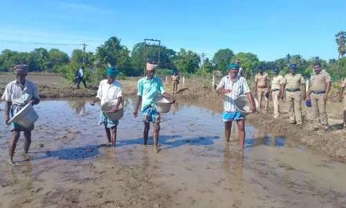 144 தடை உத்தரவு பிறப்பிப்பு: 150 போலீஸ் பாதுகாப்புடன் நடந்த நேரடி நெல் விதைப்பு....!