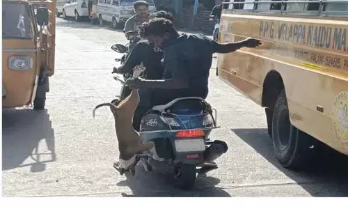 நாயை தலைகீழாக ஸ்கூட்டரில் தூக்கி செல்லும் வாலிபர் நாயை தலைகீழாக ஸ்கூட்டரில் தூக்கி செல்லும் வாலிபர்