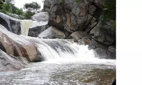 மயிலாடும்பாறை அருகே யானை கஜம் அருவியில் குளிக்க தடை மயிலாடும்பாறை அருகே யானை கஜம் அருவியில் குளிக்க தடை