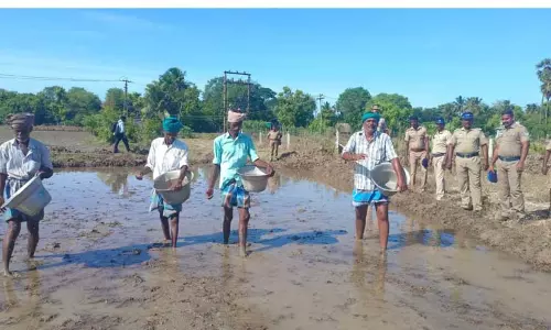 போலீஸ் பாதுகாப்புடன் நடந்த நேரடி நெல் விதைப்பு பணி போலீஸ் பாதுகாப்புடன் நடந்த நேரடி நெல் விதைப்பு பணி