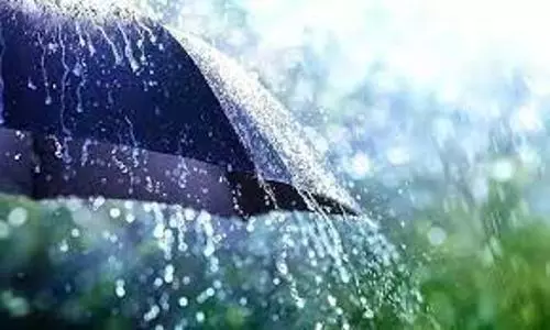 தஞ்சை மாவட்டத்தில் மழை தஞ்சை மாவட்டத்தில் மழை