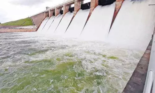 தமிழகத்தில் உள்ள அணைகளை பாதுகாக்க மாநில அணை பாதுகாப்பு அமைப்பு உருவாக்கம் தமிழகத்தில் உள்ள அணைகளை பாதுகாக்க மாநில அணை பாதுகாப்பு அமைப்பு உருவாக்கம்