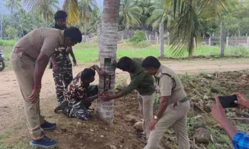 ஆழியாறில் தோட்டங்களில் சுற்றித்திரியும் சிறுத்தை கண்காணிக்க கேமராக்கள் பொருத்தம்- வனத்துறை அதிகாரிகள் தகவல் ஆழியாறில் தோட்டங்களில் சுற்றித்திரியும் சிறுத்தை கண்காணிக்க கேமராக்கள் பொருத்தம்- வனத்துறை அதிகாரிகள் தகவல்