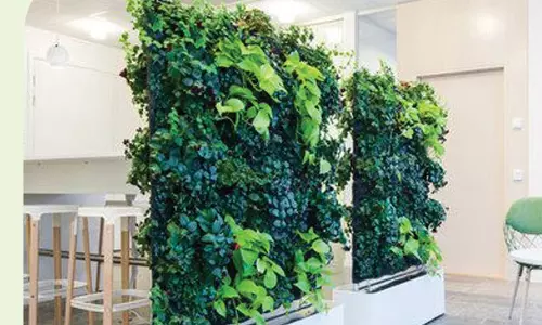 அலுவலக தோட்ட பராமரிப்பு அலுவலக தோட்ட பராமரிப்பு