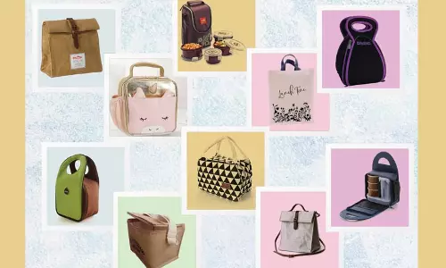 ஸ்டைலான லஞ்ச் பாக்ஸ் பைகள்