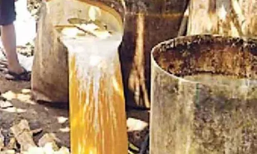 தமிழக-ஆந்திர எல்லையில் சாராயம், ஊறல் பறிமுதல் செய்து அழிப்பு