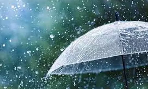 நன்னிலம் பகுதிகளில் பரவலாக மழை பெய்தது; பருத்தி விவசாயிகள் கவலை நன்னிலம் பகுதிகளில் பரவலாக மழை பெய்தது; பருத்தி விவசாயிகள் கவலை