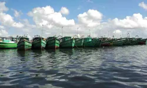 கோட்டைப்பட்டினம் விசைப்படகு மீனவர்கள் வேலைநிறுத்தம்