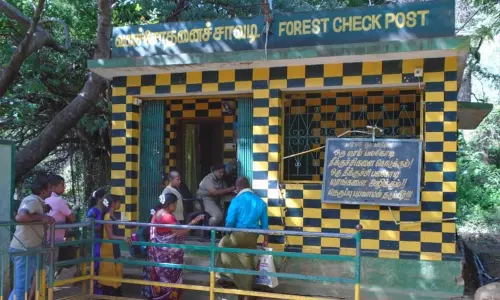 திருக்குறுங்குடி நம்பி கோவிலுக்கு செல்ல பக்தர்களுக்கு அனுமதி - வனத்துறை