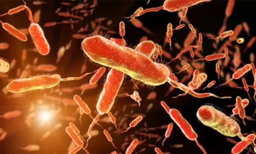 காரைக்காலில் காலரா நோயால் 2 பேர் உயிரிழப்பு...!