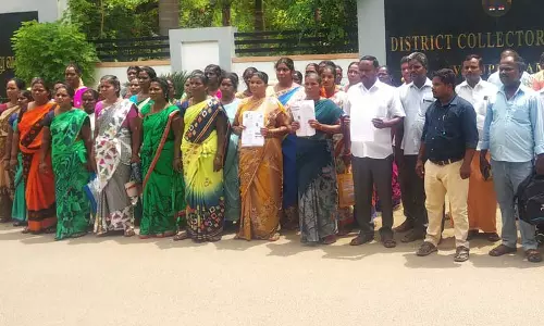 கொசுப்புழு ஒழிப்பு பணியாளர்கள் கலெக்டரிடம் மனு கொசுப்புழு ஒழிப்பு பணியாளர்கள் கலெக்டரிடம் மனு