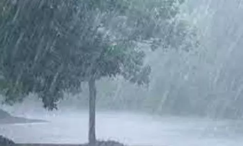 குமரியில் சாரல் மழை