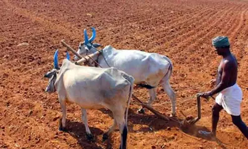 ஆதிதிராவிட பழங்குடியின விவசாயிகளுக்கு மானியத்தில் மின்மோட்டாருடன் கூடிய நுண்ணீர் பாசன வசதியுடன் கிணறு அமைக்கும் திட்டம் ஆதிதிராவிட பழங்குடியின விவசாயிகளுக்கு மானியத்தில் மின்மோட்டாருடன் கூடிய நுண்ணீர் பாசன வசதியுடன் கிணறு அமைக்கும் திட்டம்